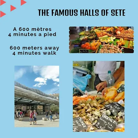 Appartement L' Oursin